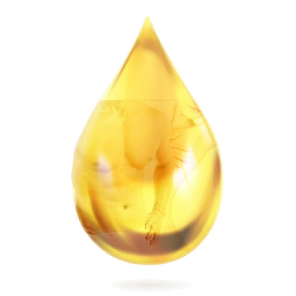 BIO CITRUS FRUIT OIL 20 ml